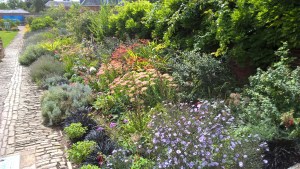 WP_20170826_12_58_47_Pro