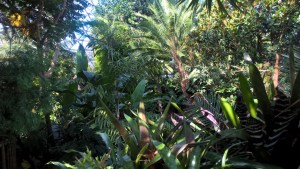 WP_20170916_10_29_28_Pro