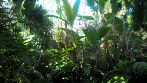 WP_20170916_10_30_49_Pro