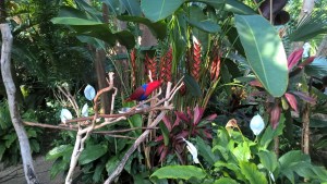 WP_20170916_10_56_23_Pro