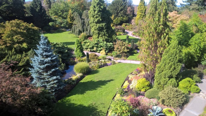 WP_20170916_11_18_05_Pro