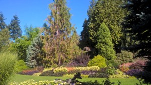 WP_20170916_11_21_12_Pro